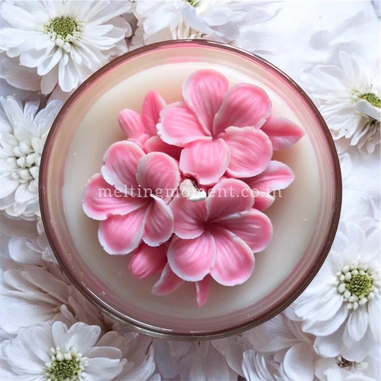 Plumeria in a jar candle